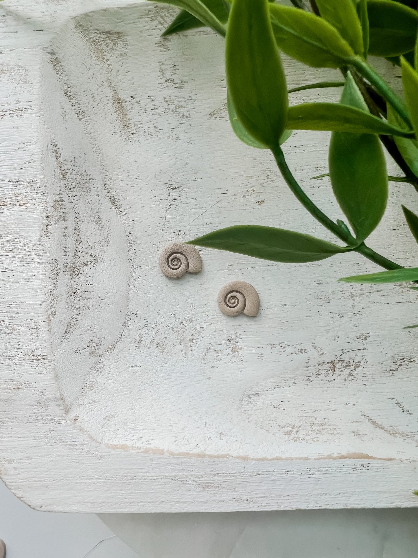 Sea Snail Studs